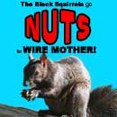Black Squirrels Go NUTS for WiMo